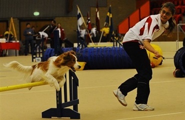 Danske NM-medaljer i agility