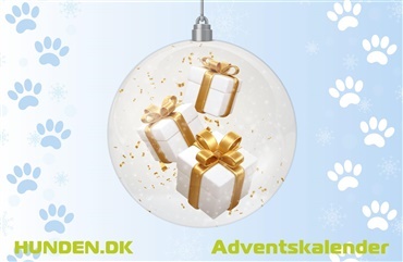 Vind med HUNDENs adventskalender