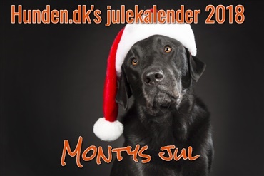 Julekalender: Montys jul - Afsnit 5