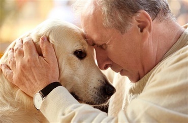 Foredrag om demens hos hunde