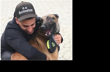Politiet s&oslash;ger vidner til kidnapning af hunden Hector