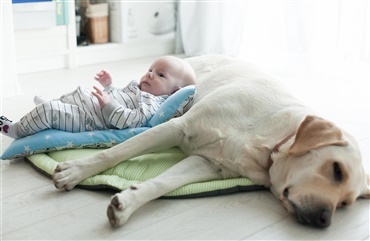 B&oslash;rn med hund har mindre sandsynlighed for astma