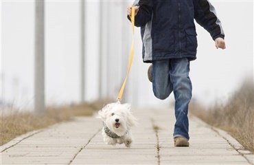 Luft naboens hund og hjælp børn i verden