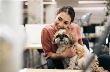 Hunde p&aring; jobbet forbedrer arbejdsklimaet og reducerer stress