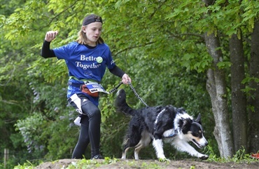 Brug s&oslash;ndagen p&aring; Crazy Dog Days