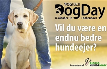 Sidste chance for at nå med til DogDay