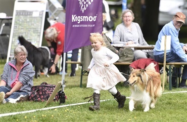 Overv&aelig;ldende interesse for Barn og Hund