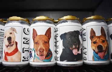 &Oslash;l genforener hund og ejer