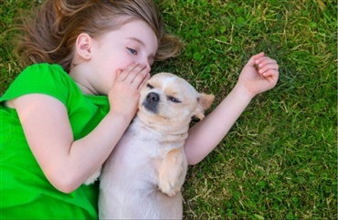 Kvinde genforenet med hund fra barndommen