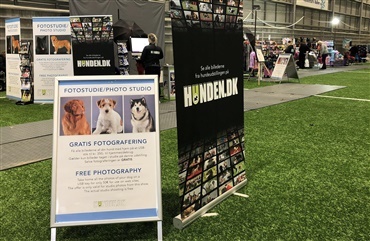 F&aring; din hund foreviget i Ballerup