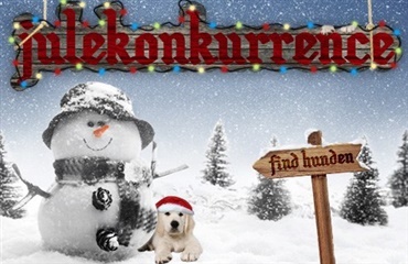 Konkurrence: Fang HUNDEN.DK’s julehund