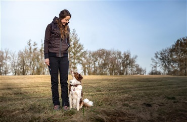 For&aring;rsfavoritterne fra DogCoach er LIVE