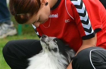 Bronze-høst ved VM i agility