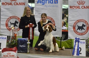  Sara vandt ren raceparade i Juniorhandling