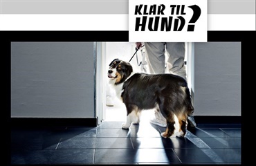 Er du klar til hund?