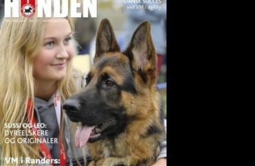 HUNDEN 11 er p&aring; trapperne