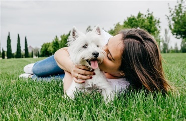 F&aring; din hund passet privat gennem Dogley