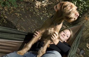 Syv grunde til at du får det bedre af at have hund