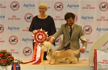 EDS: Best In Show er polsk