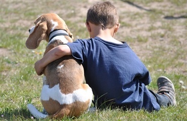 Hunde og folkesundhed