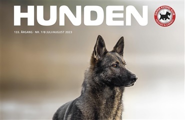 V&aelig;r beredt: HUNDEN udkommer nu