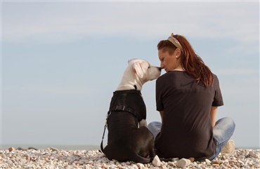 Kan din hund afl&aelig;se dit ansigtsudtryk?