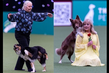 Crufts: Heelwork to Music forener pr&aelig;cision og kreativitet 