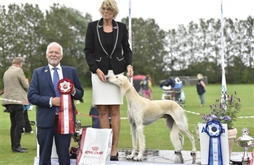 Jublende svensk vinder af dansk finale