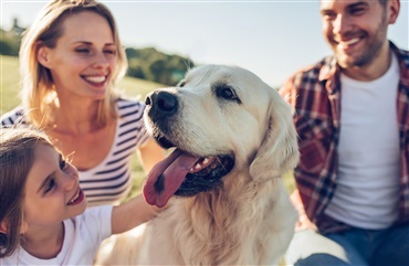 Fuld fart p&aring; Hund i Fokus i weekenden