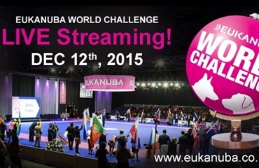 Eukanuba World Challenge