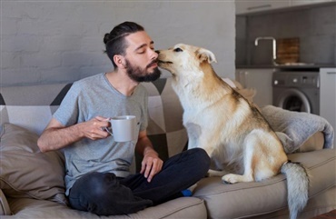 Hvem vil du helst kysse: En mand med fuldsk&aelig;g eller en hund?