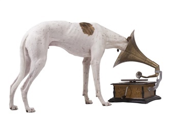 Hunde elsker reggae 