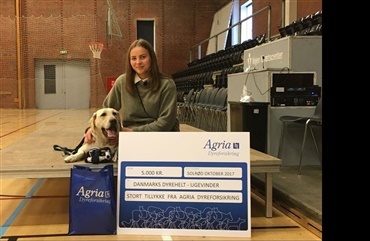 Hunden Einstein fandt tilskadekommen mand i busk, og er nu k&aring;ret som jysk dyrehelt