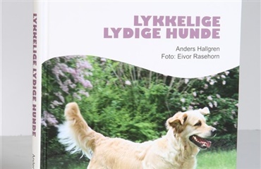 Lykkelige lydige hunde