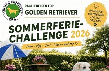 Golden retrievere inviteres til sommerchallenge