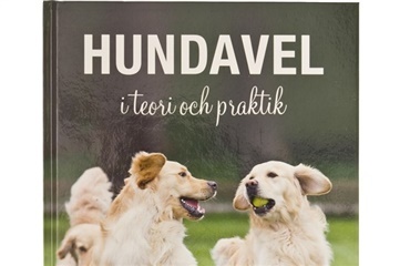 Hundavel i teori och praktik