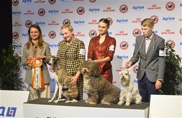 EDS: Fjerde danske juniorhandler i semifinalen