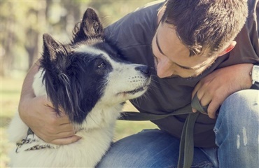 Sådan viser du din hund at du elsker den – så den også forstår det!