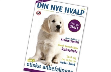 Gør din kennel synlig