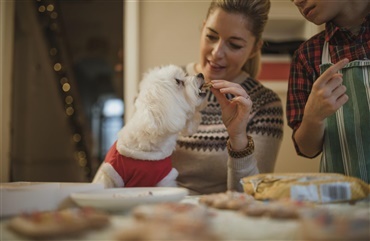 Pas p&aring; den fede julemad i december