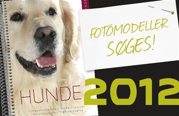 Skal din hund være med i Hundekalenderen 2012?