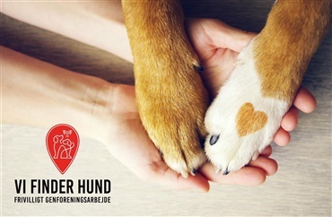 Vi Finder Hund: S&aring;dan sikrer du din hund i nyt&aring;ret, og hvad du g&oslash;r, hvis uheldet sker