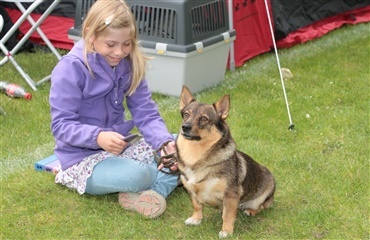 Hunde på biblioteket i Fredericia