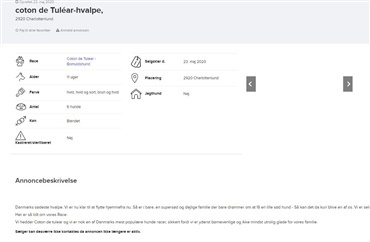 ADVARSEL: Falske hundeannoncer p&aring; nettet