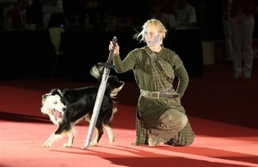 Kom og se Europas bedste dansende hunde