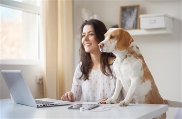 Har du set Hundeuniversitetet