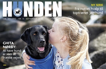 Gl&aelig;d dig til det nye HUNDEN