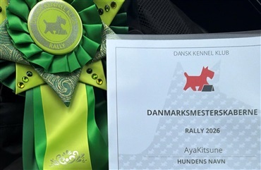 Fra f&oslash;rste rallypr&oslash;ve til DM p&aring; under et &aring;r