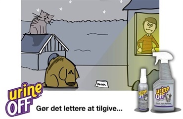 Vind sjove præmier til din hund