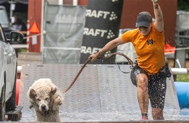 Oplev K9 Biathlon tr&aelig;ning i Varde 